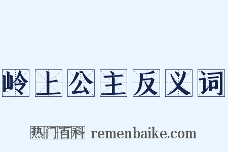 岭上公主反义词是什么意思的图片